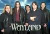 WAYLAND EN LA CARRETERA