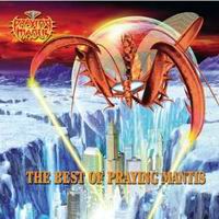 Best of Praying Mantis