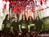 VIDEO DE CANNIBAL CORPSE