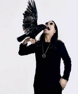 OZZY OSBOURNE: “LE MORDÍ LA CABEZA A UNA PALOMA Y A UN MURCIÉLAGO. FUE UNA ESTUPIDEZ, PERO LO HICE."