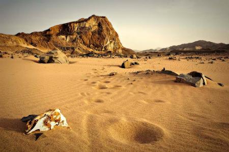 TRES SEGUIDORES DE HEAVY METAL DE ARABIA SAUDÍ A PUNTO DE SER LLEVADOS A LOS TRIBUNALES