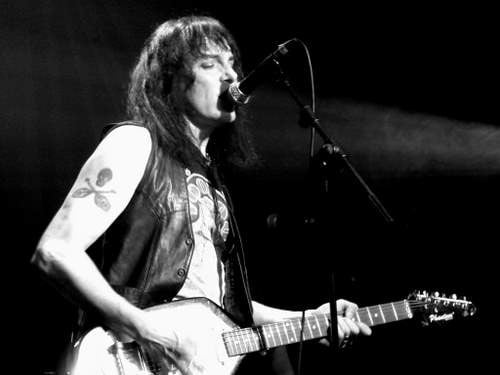 GIRA DE THE FUZZTONES EN NUESTRO PAÍS