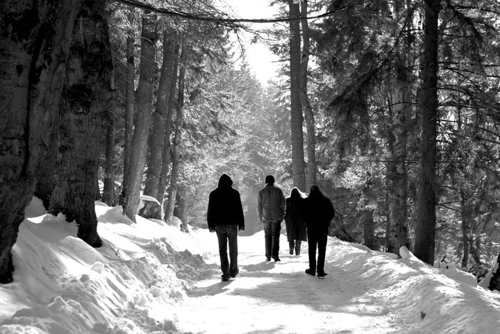 EL NUEVO TRABAJO DE AGALLOCH EN STREAMING