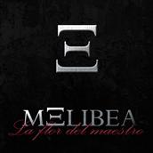 OS PRESENTAMOS A MELIBEA, POST-HARDCORE DESDE MADRID