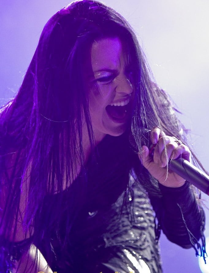 AMY LEE: "NUNCA QUISE SER UNA ROCKSTAR"