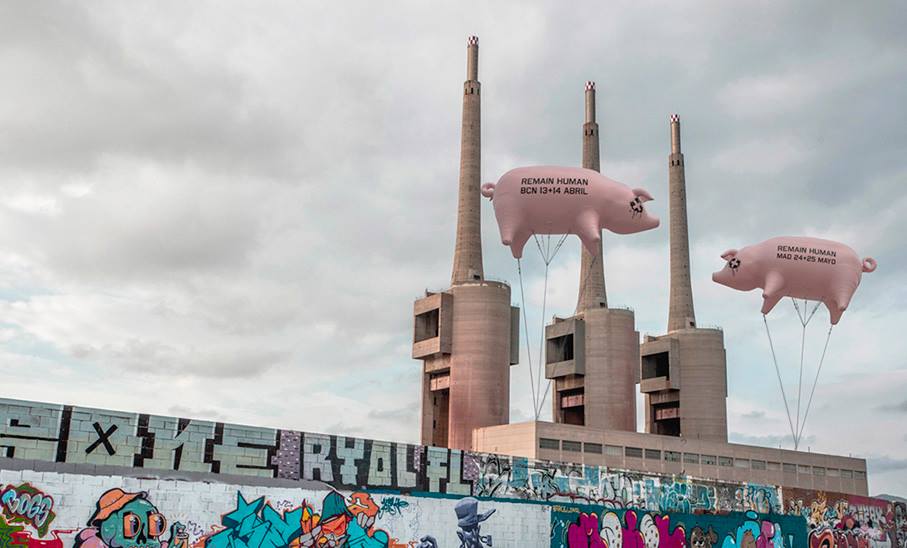 ¿Vuelan cerdos en Barcelona?