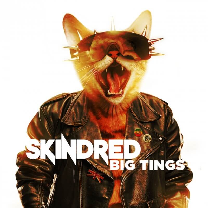 Skindred Big Tings cover