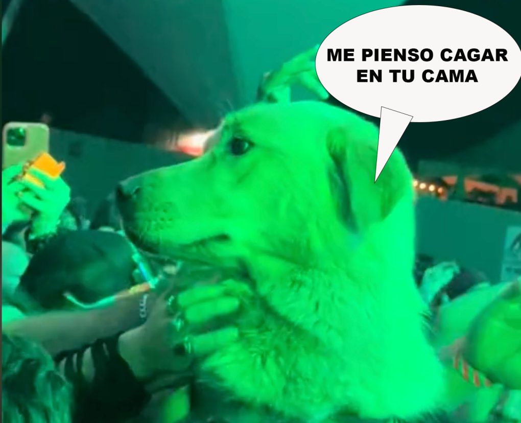 En serio: no te lleves a tu perro a un concierto de metal