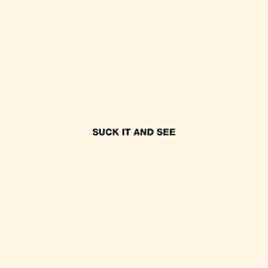 arctic monkeys - suck it see